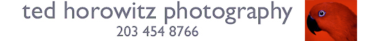 TED HOROWITZ CT PHOTOGRAPHY CORPORATE LOCATION PORTRAIT COMMERCIAL PHOTOGRAPHER - Westport CT Corporate, Academic, Event and Stock Photography - Annual Report Photography: Ted Horowitz,  Westport, CT, is an experienced Fortune 500 photographer specializing in people, portraits, and location photography for corporate, academic, and global clients, photographs subjects including medical and manufacturing, green technologies, banking and biotech, and academic location photography.